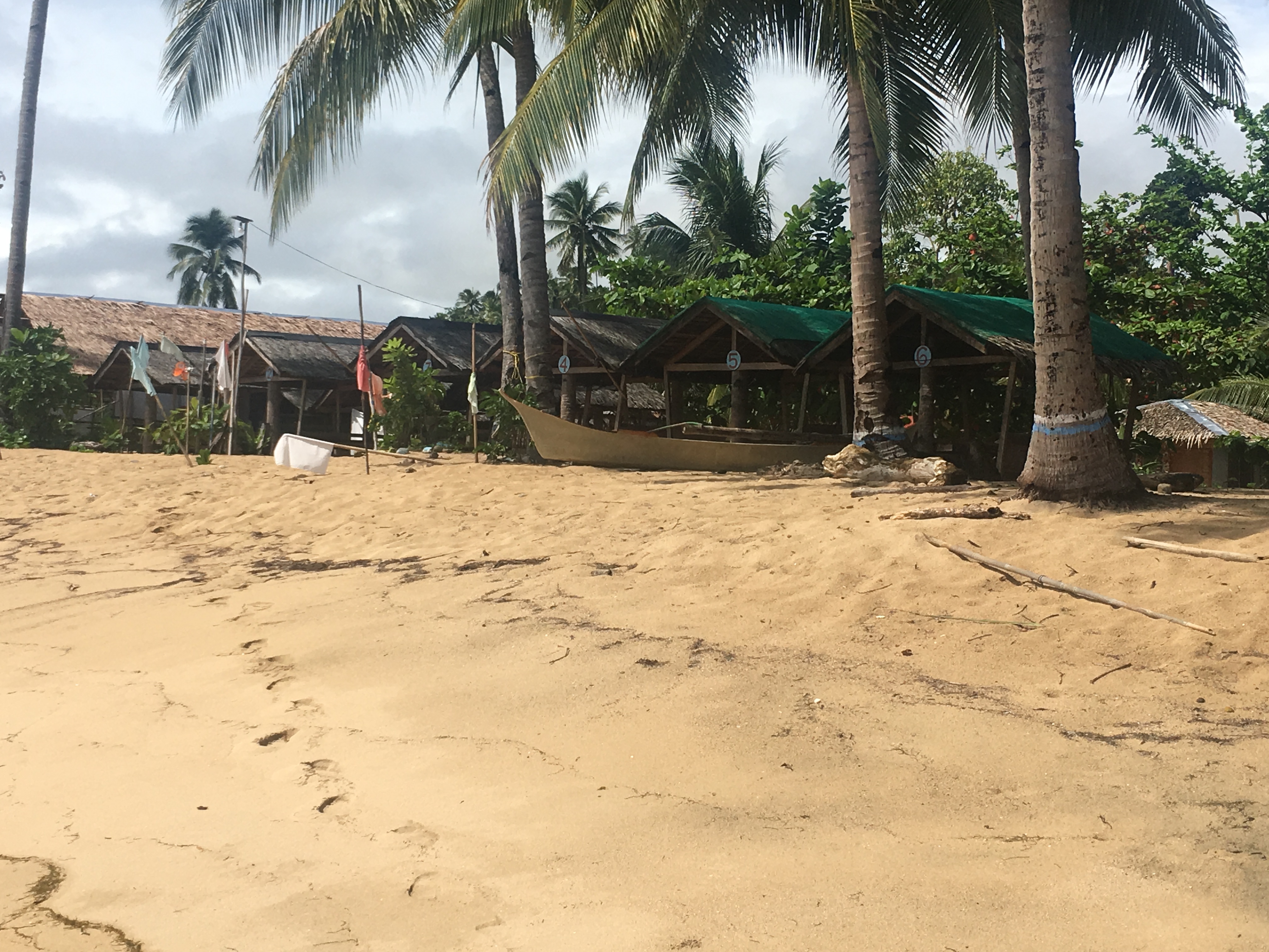 <b class="font-bara"><i class="bi bi-geo-fill h4"></i> PUNTA CANA BEACH RESORT</b> <br/>
